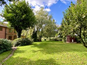 Rear Garden- click for photo gallery